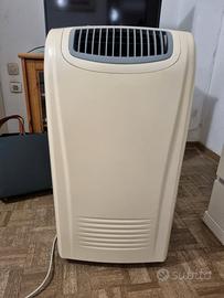 condizionatore pinguino