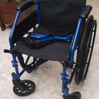 sedia a rotelle 