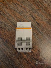 Commutatore Merlin Gerin 20A 2P