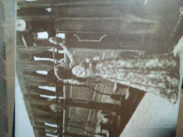 Orietta berti vinile