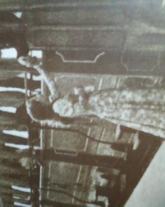 Orietta berti vinile