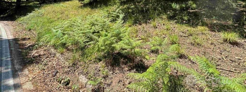 Immobile in asta di 11270 m² a Marzano Appio - Altro