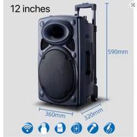 Karaoke Cassa con microfono