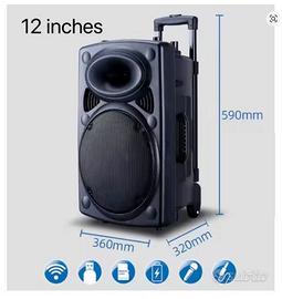 Karaoke Cassa con microfono