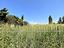 Immagine 16