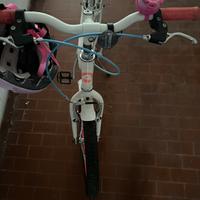 Bicicletta bambina 8/10 anni