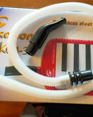 Melodica da scuola