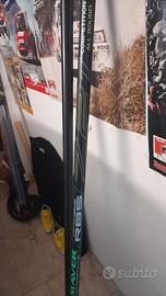 Canna pesca roubasienne maver