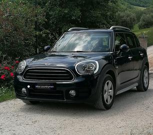 Mini Countryman One D