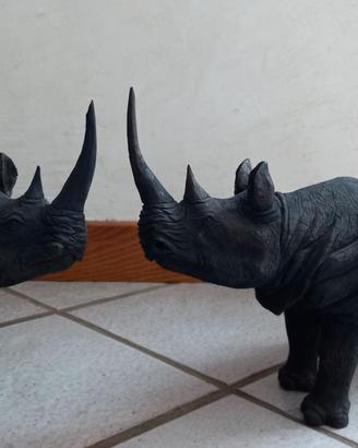 Coppia di rinoceronti