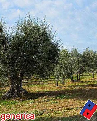 Terreno agricolo - Fondi