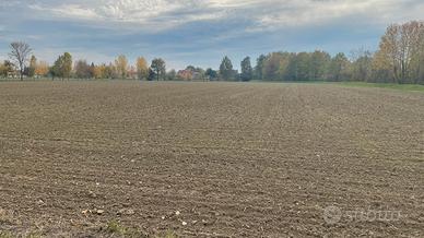 Terreno agricolo, Loreggia