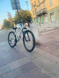 whielie bike 