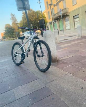 whielie bike 