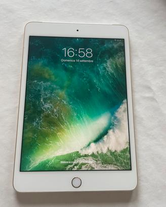 Ipad mini 4 - 16 gb