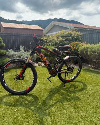 E-bike  bottecchia