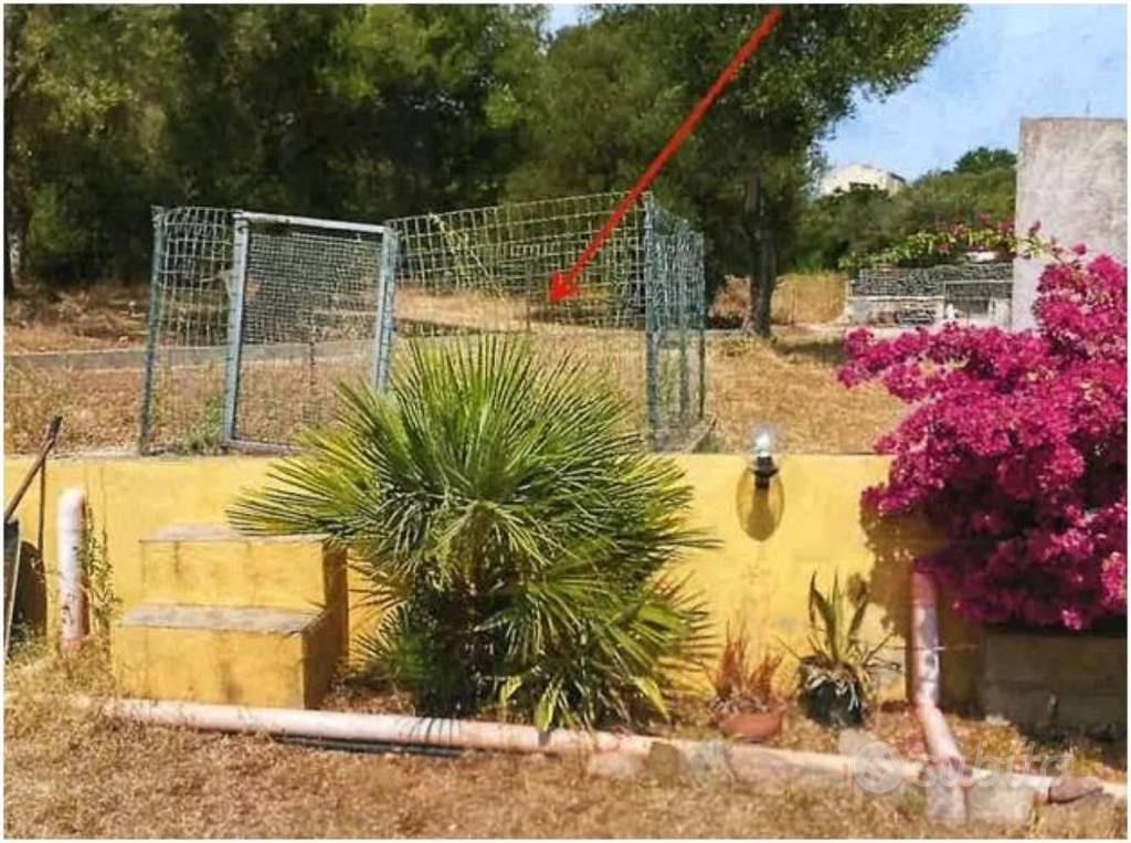 Immobile in asta di 579 m² a Loiri Porto San Paolo - Vista 3