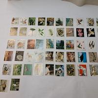 figurine n°52 Panini WWF natura da salvare