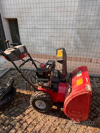 Turbina spazzaneve MTD