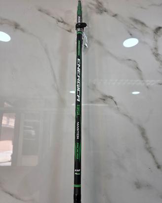 canna bolognese nuova 