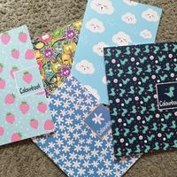 regoli e quadernoni primaria