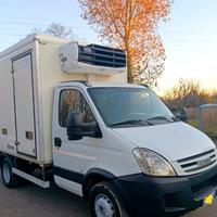 iveco Daily 65C60 cella frigo libero di licenza 