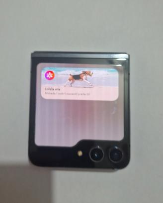 samsung galazy z flip 5 