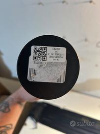 Soldarini hydropsiche