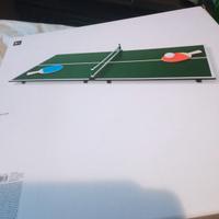 Tavolo da ping pong