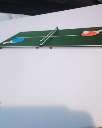 Tavolo da ping pong