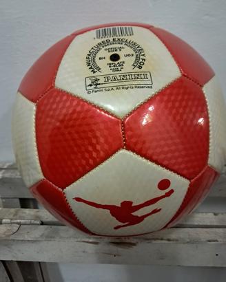 pallone cuoio