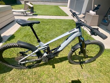 Orbea Wild Team