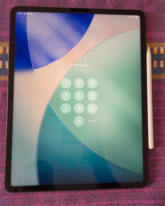 Ipad Pro 12'9  128 gb wifi+cellular  5 gen. +SPen
