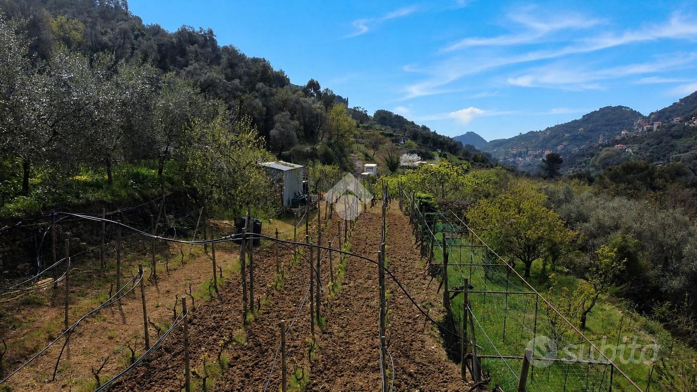 TER. AGRICOLO A VALLEBONA - Vista 4