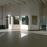 CAPANNONE A LANGHIRANO