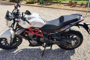Benelli BN 302 con scarico ARROW (Pat. A2)