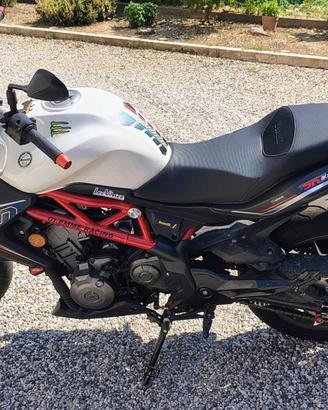 Benelli BN 302 con scarico ARROW (Pat. A2)