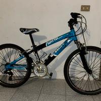 MTB eagle 24”