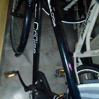 cruise city bike uomo senza sella