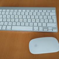 Apple Wireless Keyboard + Apple Magic Mouse