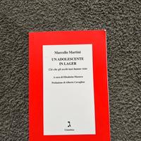 Libro un adolescente in lager