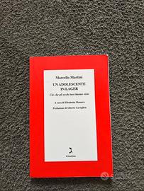 Libro un adolescente in lager