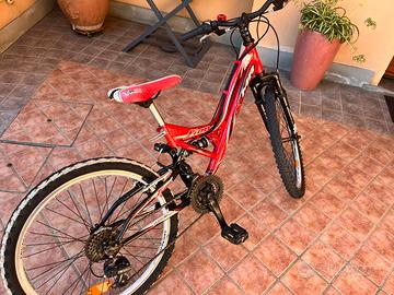 Bicicletta