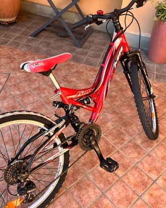 Bicicletta