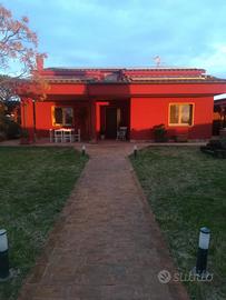 Casa rossa in maremma