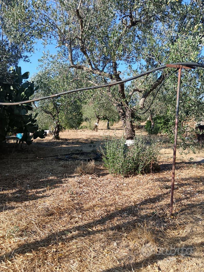 Terreno Agricolo Crispiano [Cod. rif 3334098VRG] - Vista 3