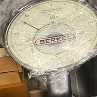 Bilancia berkel