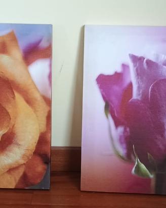 Coppia di Stampe Moderne - Rose