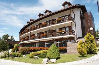 Cavalese (TN) Mini-appartamento 4 px - 3a Agosto