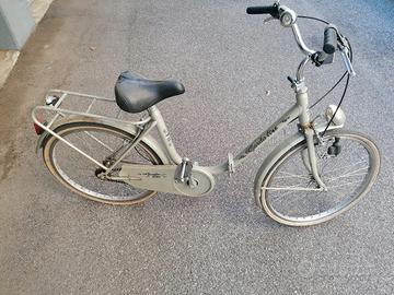 bicicletta 
